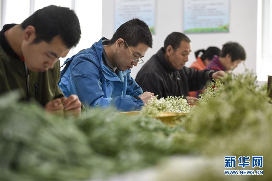 （在習(xí)近平新時(shí)代中國特色社會主義思想指引下&mdash;&mdash;新時(shí)代新作為新篇章&middot;習(xí)近平總書記關(guān)切事&middot;圖文互動）（5）六盤山下的誓言&mdash;&mdash;來自寧夏的脫貧故事