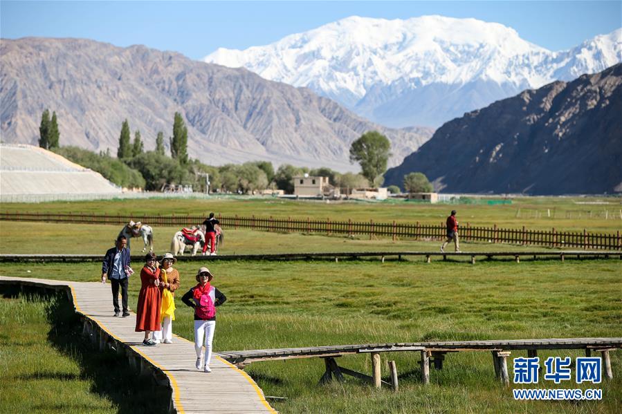 （新華全媒頭條&middot;圖文互動(dòng)）（15）飛吧，&ldquo;帕米爾雄鷹&rdquo;！