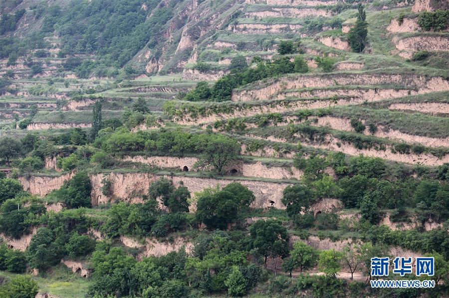 （決戰(zhàn)決勝脫貧攻堅(jiān)&middot;圖文互動）（5）魚漁兼授 志智雙扶&mdash;&mdash;窮溝溝&ldquo;菜富記&rdquo;