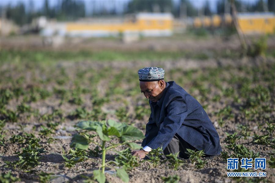 （圖文互動）（5）&ldquo;沙漠高地&rdquo;的美好家園