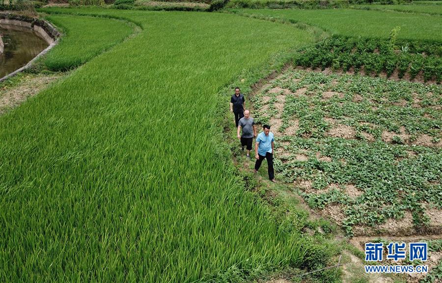 （圖文互動）（6）湘南深山，堅(jiān)守扶貧一線的黨員之家