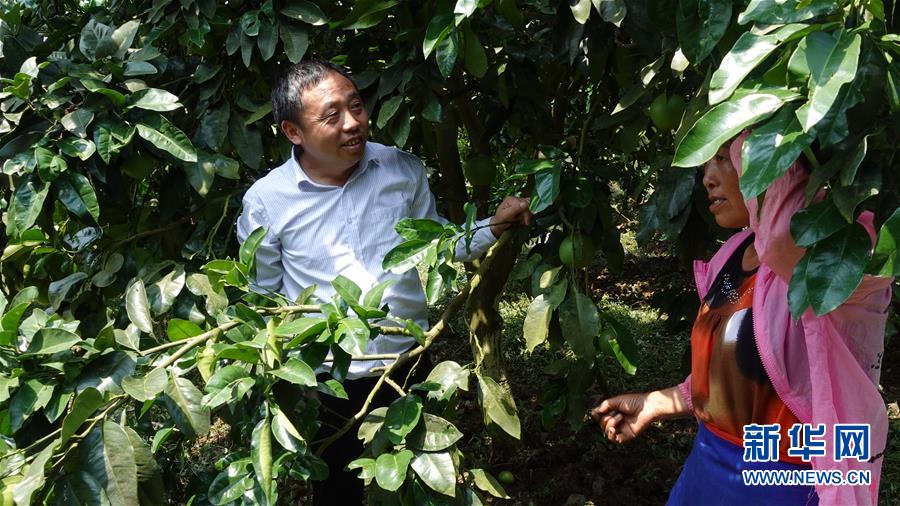 （新華網(wǎng)&middot;決戰(zhàn)決勝脫貧攻堅&middot;圖文互動）（1）貴州思南：強村帶弱村 &ldquo;抱團&rdquo;促增收