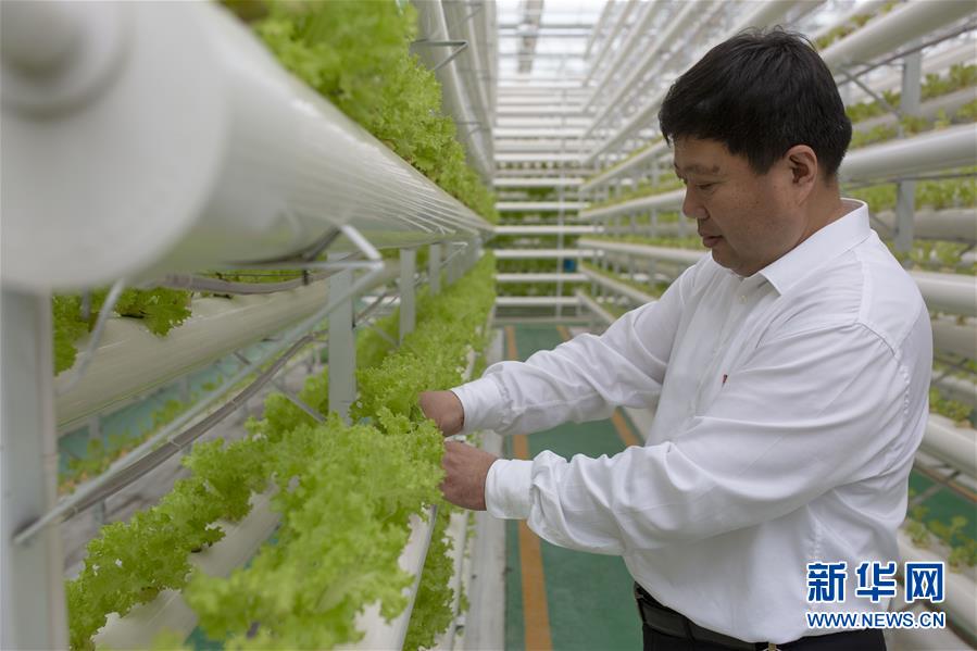 （新華全媒頭條&middot;圖文互動(dòng)）（1）十任&ldquo;支書&rdquo;一個(gè)夢(mèng)