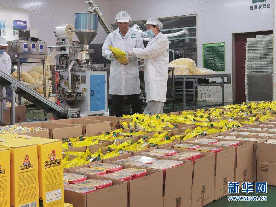 （決戰(zhàn)決勝脫貧攻堅&middot;圖文互動）玉米&ldquo;變形&rdquo;記