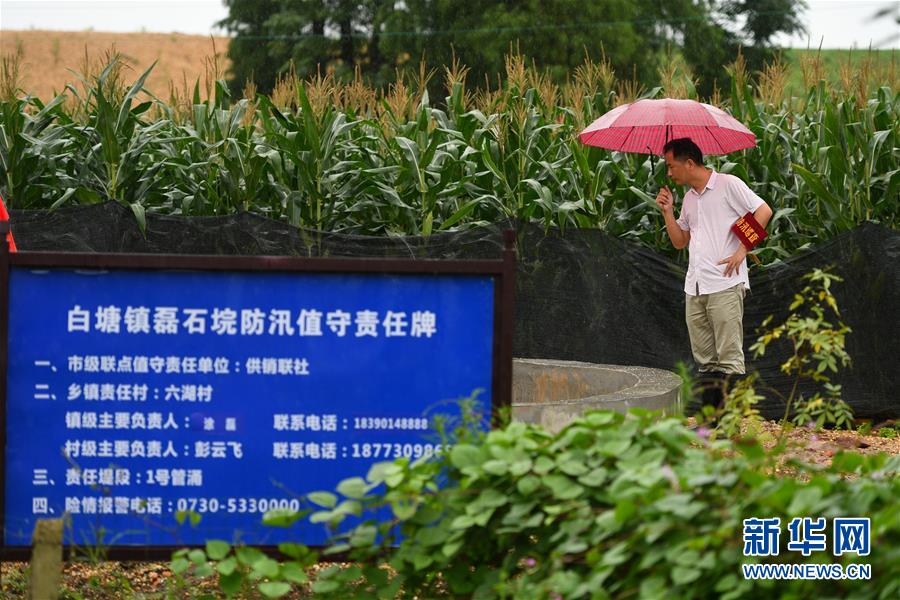 （防汛抗洪&middot;圖文互動(dòng)）（1）&ldquo;險(xiǎn)情不可怕，可怕的是不能及時(shí)發(fā)現(xiàn)險(xiǎn)情&rdquo;&mdash;&mdash;洞庭湖巡堤查險(xiǎn)現(xiàn)場直擊