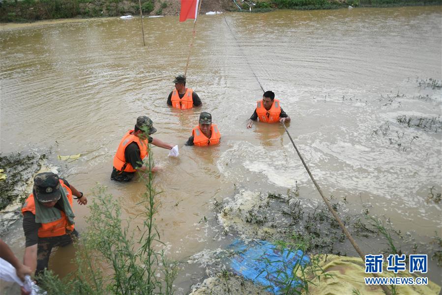 （防汛抗洪&middot;圖文互動(dòng)）（1）&ldquo;大堤上有了&lsquo;導(dǎo)彈綠&rsquo;，我們老百姓安了心&rdquo;