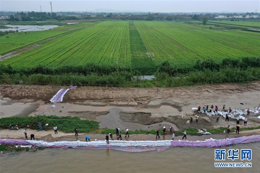 （新華全媒頭條&middot;圖文互動）（2）鏖戰(zhàn)江新洲