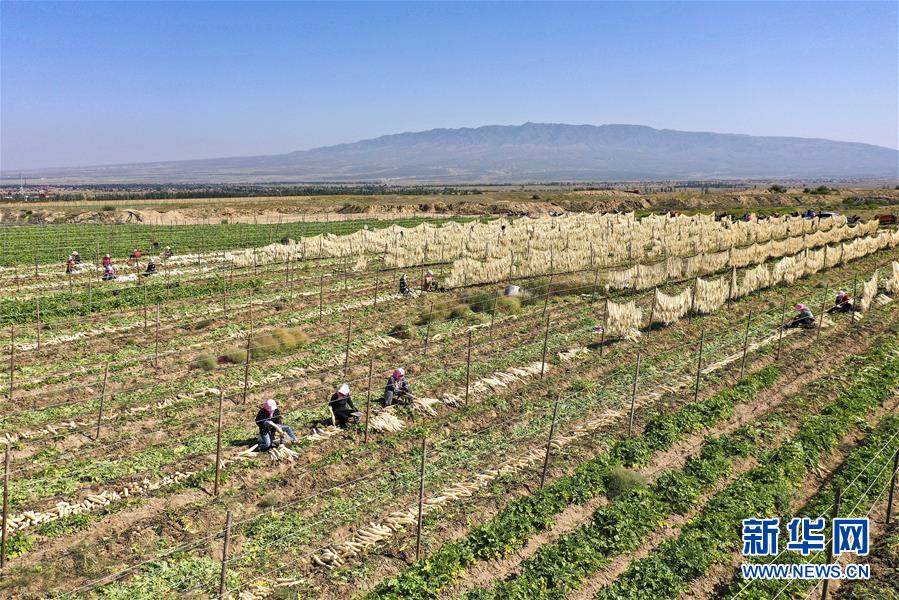 （新華全媒頭條&middot;走向我們的小康生活&middot;圖文互動(dòng)）（8）23萬人的命運(yùn)轉(zhuǎn)折&mdash;&mdash;我國最大易地生態(tài)移民安置區(qū)的脫貧密碼