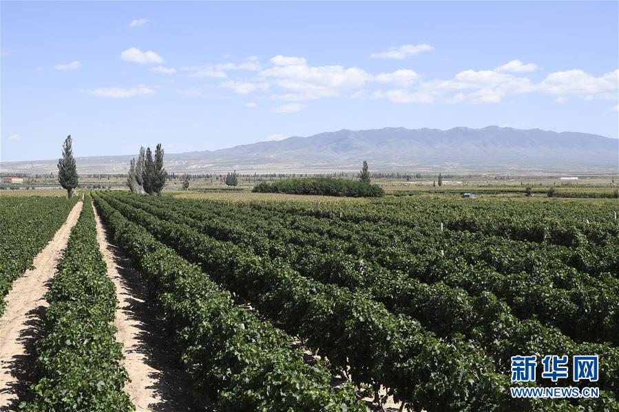 （新華全媒頭條&middot;走向我們的小康生活&middot;圖文互動(dòng)）（9）23萬人的命運(yùn)轉(zhuǎn)折&mdash;&mdash;我國最大易地生態(tài)移民安置區(qū)的脫貧密碼