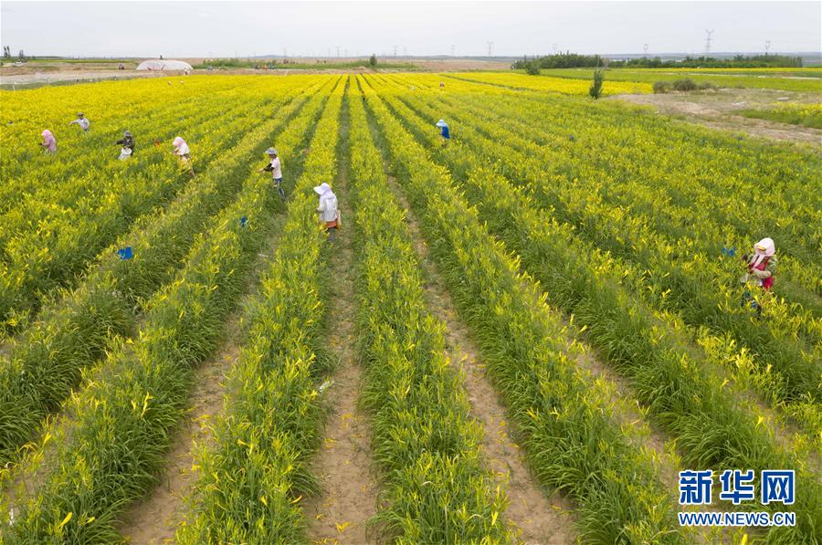 （新華全媒頭條&middot;走向我們的小康生活&middot;圖文互動(dòng)）（11）23萬人的命運(yùn)轉(zhuǎn)折&mdash;&mdash;我國最大易地生態(tài)移民安置區(qū)的脫貧密碼