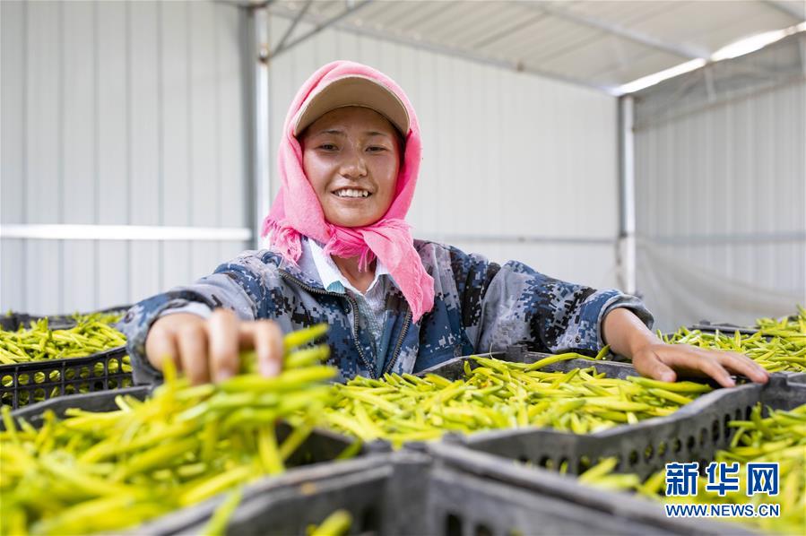 （新華全媒頭條&middot;走向我們的小康生活&middot;圖文互動(dòng)）（12）23萬人的命運(yùn)轉(zhuǎn)折&mdash;&mdash;我國最大易地生態(tài)移民安置區(qū)的脫貧密碼