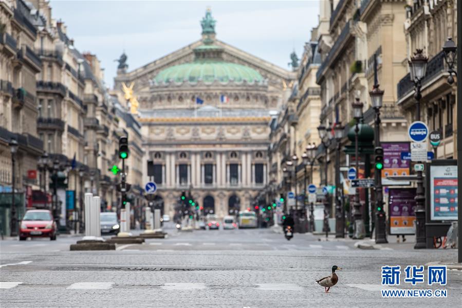 （國際&middot;圖文互動）（4）特稿：穿越寒暑 無問西東&mdash;&mdash;寫在新冠疫情構成&ldquo;國際關注的突發(fā)公共衛(wèi)生事件&rdquo;半年之際