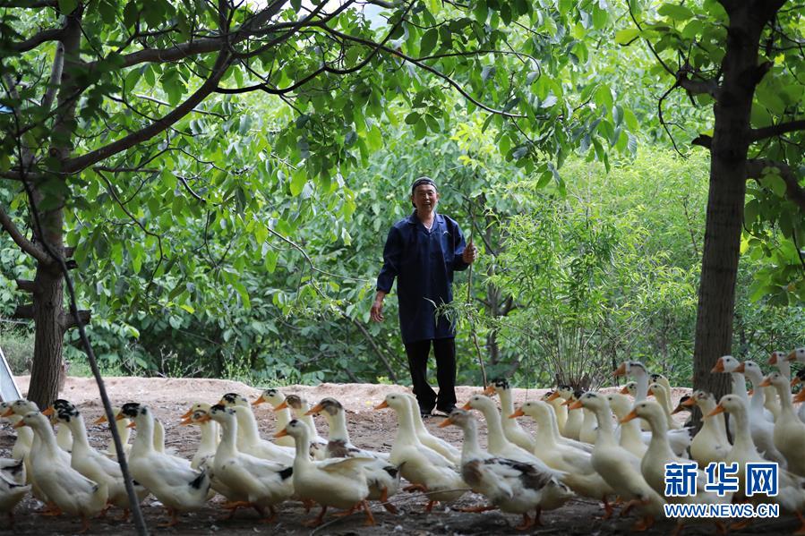 （新華全媒頭條&middot;圖文互動）（8）穩(wěn)中求進 奮勇前進&mdash;&mdash;從中央政治局會議看中國經(jīng)濟走勢