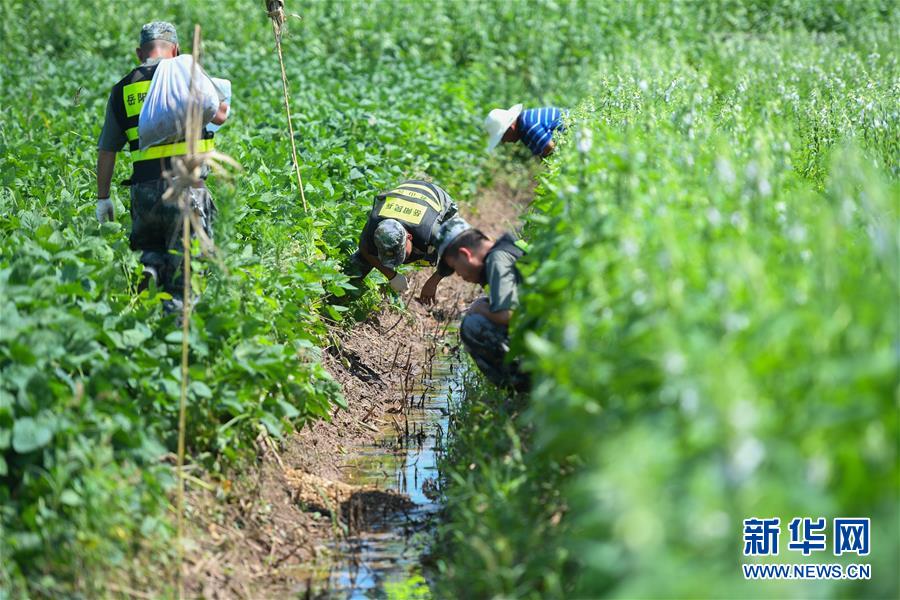 （新華全媒頭條&middot;圖文互動）（10）筑起共御水患的鋼鐵長堤&mdash;&mdash;戰(zhàn)洪一線的&ldquo;干群關系新答卷&rdquo;