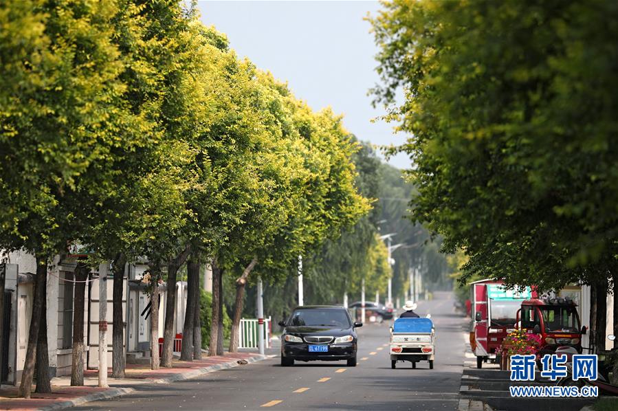 （新華全媒頭條&middot;走向我們的小康生活&middot;圖文互動(dòng)）（3）&ldquo;南大荒&rdquo;變&ldquo;稻蟹鄉(xiāng)&rdquo;&mdash;&mdash;資源枯竭型城市盤錦的鄉(xiāng)村振興之路