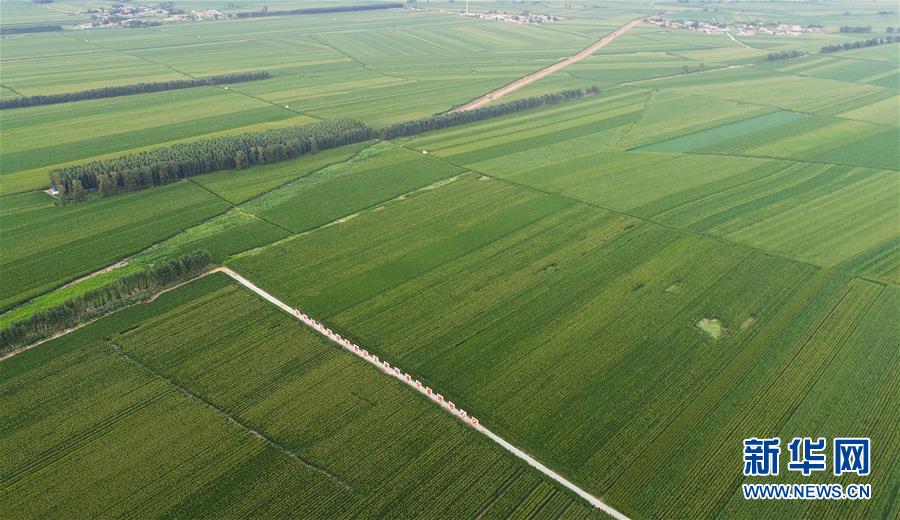 （在習(xí)近平新時代中國特色社會主義思想指引下&mdash;&mdash;新時代新作為新篇章&middot;習(xí)近平總書記關(guān)切事&middot;圖文互動）（2）為黑土加&ldquo;油&rdquo;&mdash;&mdash;&ldquo;耕地中的大熊貓&rdquo;，我們這樣保護