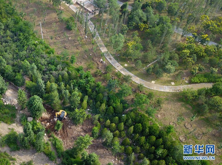 （新華全媒頭條&middot;圖文互動(dòng)）（15）扎實(shí)推進(jìn)籌辦，不負(fù)青春韶華&mdash;&mdash;北京冬奧會(huì)籌辦備戰(zhàn)克服疫情影響平穩(wěn)推進(jìn)