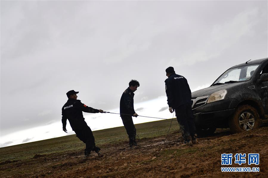 （圖文互動）（10）記者手記：可可西里，&ldquo;挪&rdquo;向&ldquo;藏羚羊大產(chǎn)房&rdquo;的14個半小時