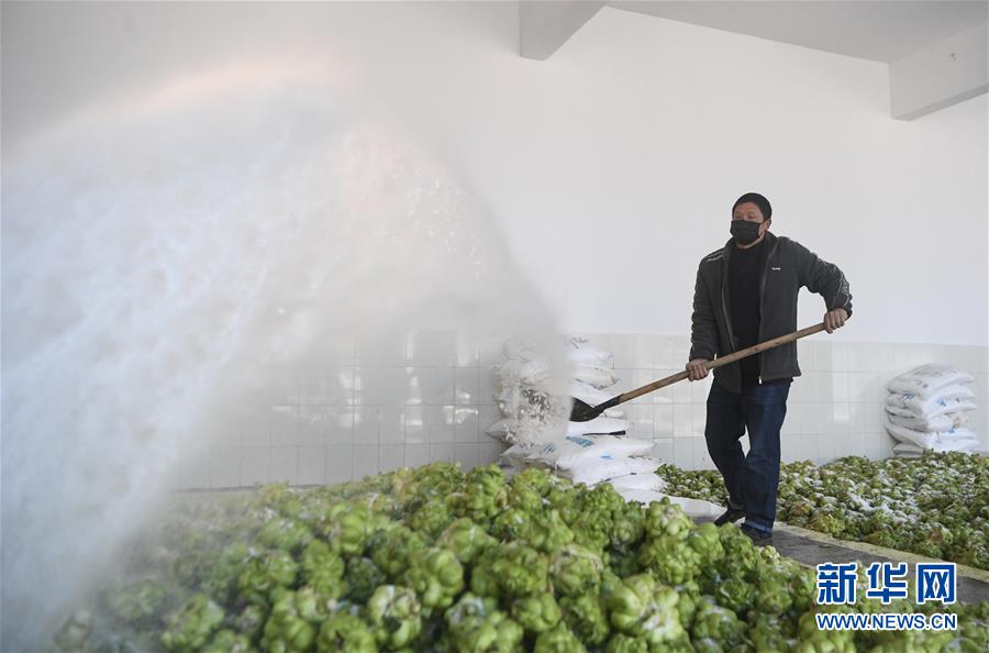 （新華全媒頭條&middot;走向我們的小康生活&middot;圖文互動）（6）大城大鄉(xiāng)的&ldquo;幸福協(xié)奏曲&rdquo;&mdash;&mdash;重慶推動高質(zhì)量發(fā)展創(chuàng)造高品質(zhì)生活紀(jì)事