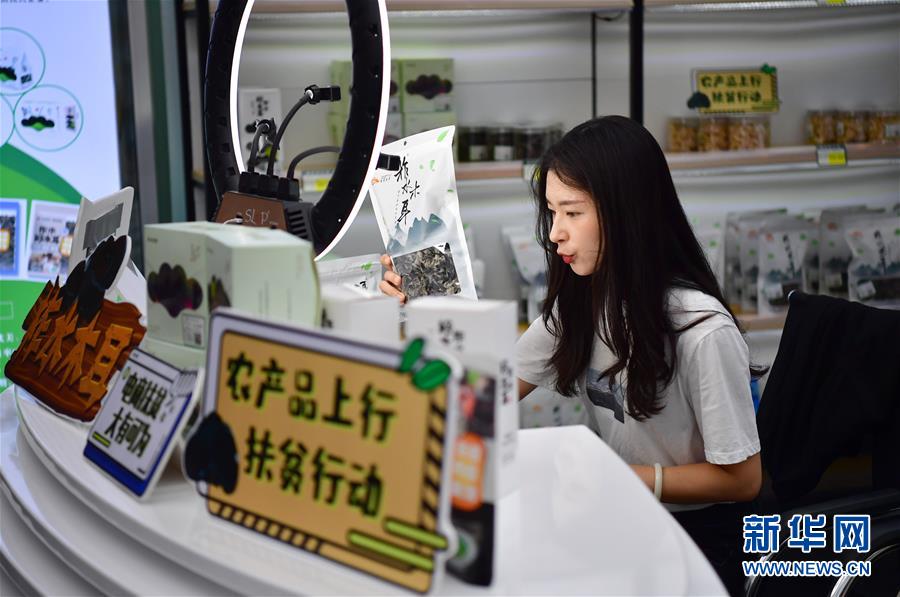 （走向我們的小康生活&middot;圖文互動）（3）綠了青山，紅了日子&mdash;&mdash;秦巴山區(qū)群眾繪出小康&ldquo;調(diào)色板&rdquo;