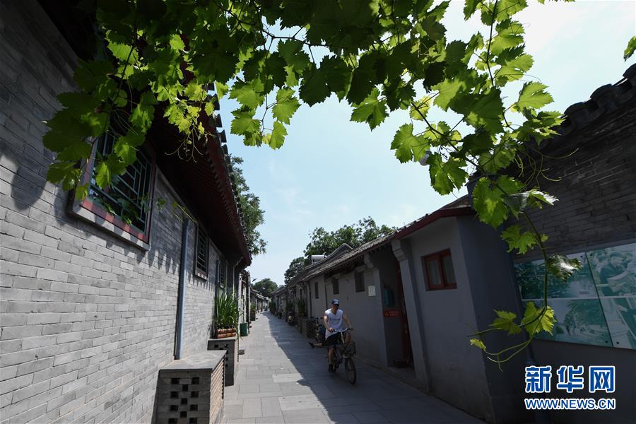 （走向我們的小康生活&middot;圖文互動）（1）小橋、流水、書香、人家&mdash;&mdash;老北京胡同里的恬靜棲居