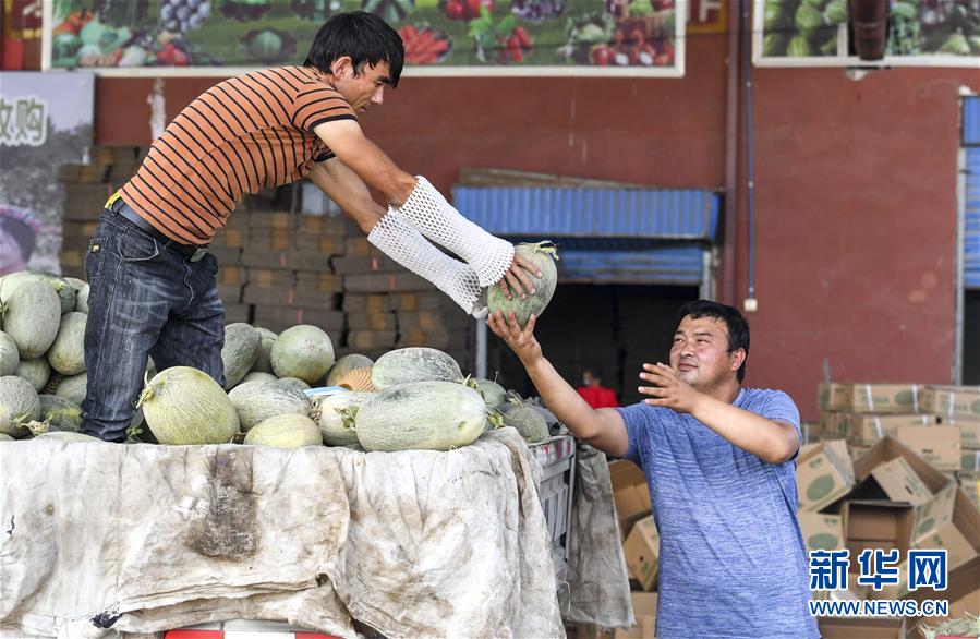 （決戰(zhàn)決勝脫貧攻堅(jiān)&middot;圖文互動(dòng)）（2）&ldquo;窮&rdquo;鄉(xiāng)富戶(hù)的販瓜生意經(jīng)