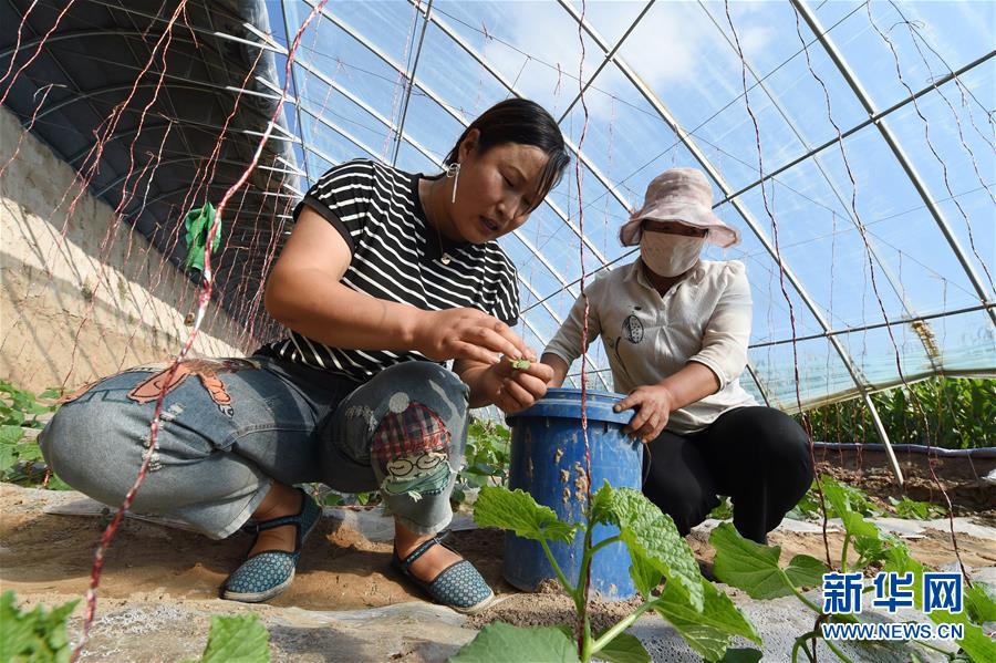 （新華全媒頭條&middot;走向我們的小康生活&middot;圖文互動(dòng)）（5）&ldquo;苦甲&rdquo;不再，&ldquo;甘味&rdquo;綿長&mdash;&mdash;脫貧攻堅(jiān)的甘肅味道