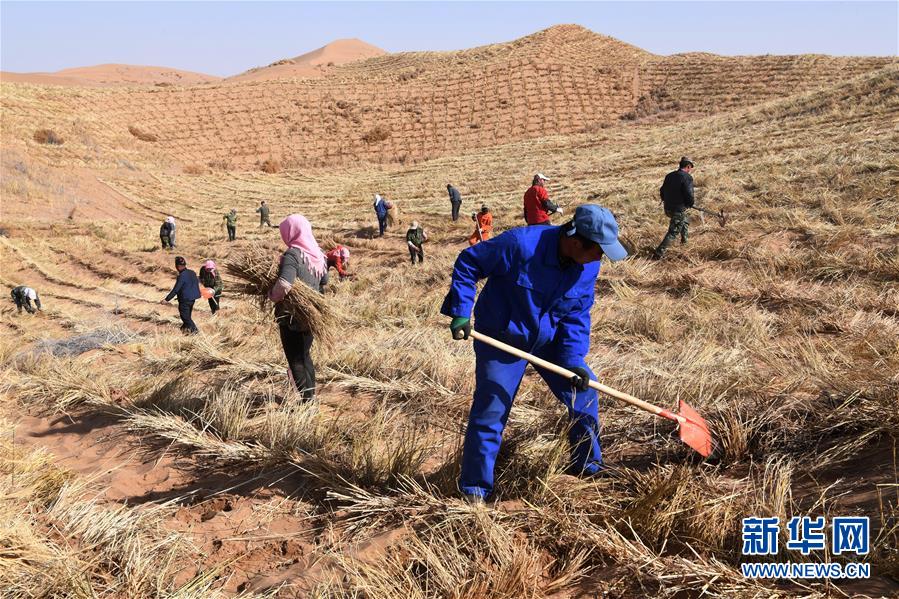 （新華全媒頭條&middot;走向我們的小康生活&middot;圖文互動(dòng)）（6）&ldquo;苦甲&rdquo;不再，&ldquo;甘味&rdquo;綿長&mdash;&mdash;脫貧攻堅(jiān)的甘肅味道