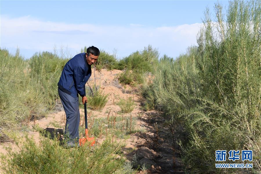 （新華全媒頭條&middot;走向我們的小康生活&middot;圖文互動(dòng)）（8）&ldquo;苦甲&rdquo;不再，&ldquo;甘味&rdquo;綿長&mdash;&mdash;脫貧攻堅(jiān)的甘肅味道