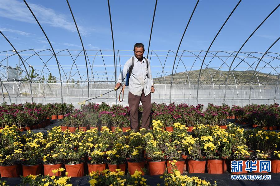 （新華全媒頭條&middot;走向我們的小康生活&middot;圖文互動(dòng)）（10）&ldquo;苦甲&rdquo;不再，&ldquo;甘味&rdquo;綿長&mdash;&mdash;脫貧攻堅(jiān)的甘肅味道