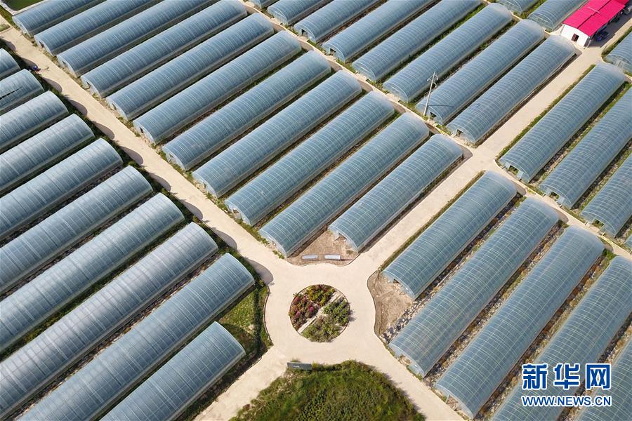 （新華全媒頭條&middot;走向我們的小康生活&middot;圖文互動(dòng)）（11）&ldquo;苦甲&rdquo;不再，&ldquo;甘味&rdquo;綿長&mdash;&mdash;脫貧攻堅(jiān)的甘肅味道