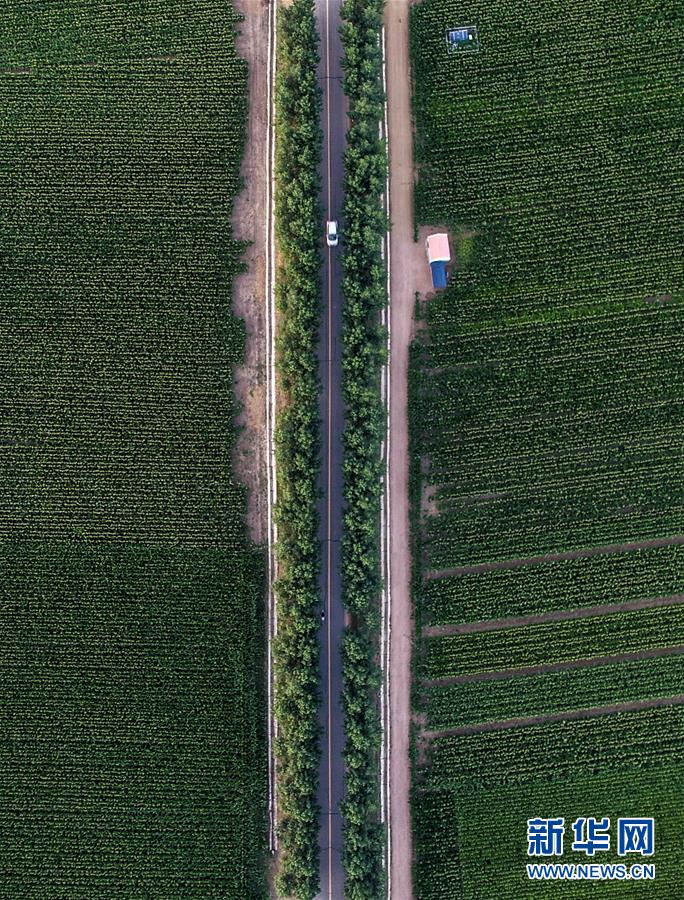 （新華全媒頭條&middot;圖文互動(dòng)）（3）為現(xiàn)代農(nóng)業(yè)探新路&mdash;&mdash;來(lái)自吉林梨樹(shù)的田野報(bào)告