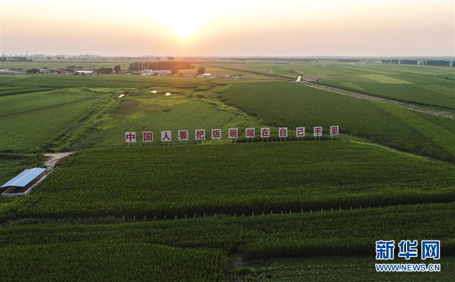（新華全媒頭條&middot;圖文互動(dòng)）（6）為現(xiàn)代農(nóng)業(yè)探新路&mdash;&mdash;來(lái)自吉林梨樹(shù)的田野報(bào)告
