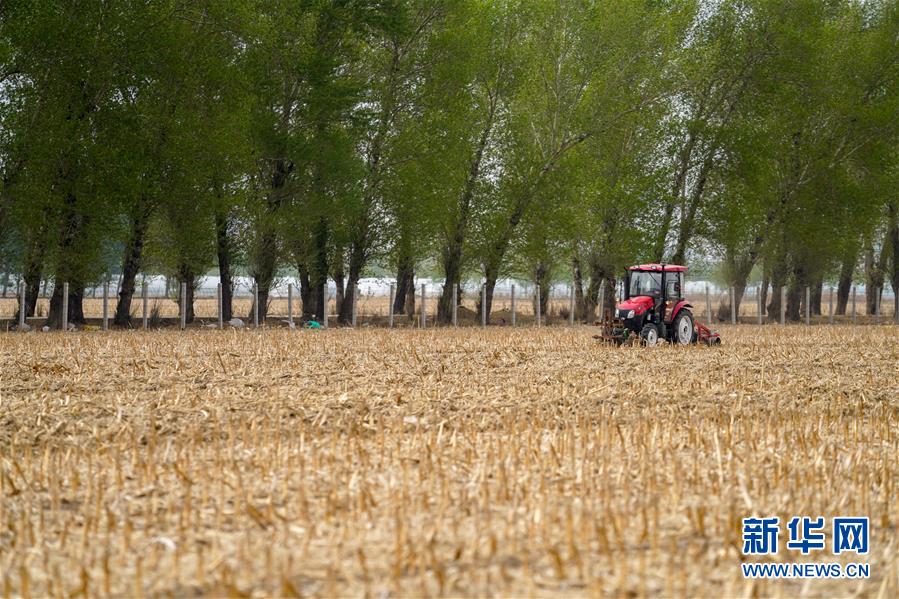 （新華全媒頭條&middot;圖文互動(dòng)）（9）為現(xiàn)代農(nóng)業(yè)探新路&mdash;&mdash;來(lái)自吉林梨樹(shù)的田野報(bào)告