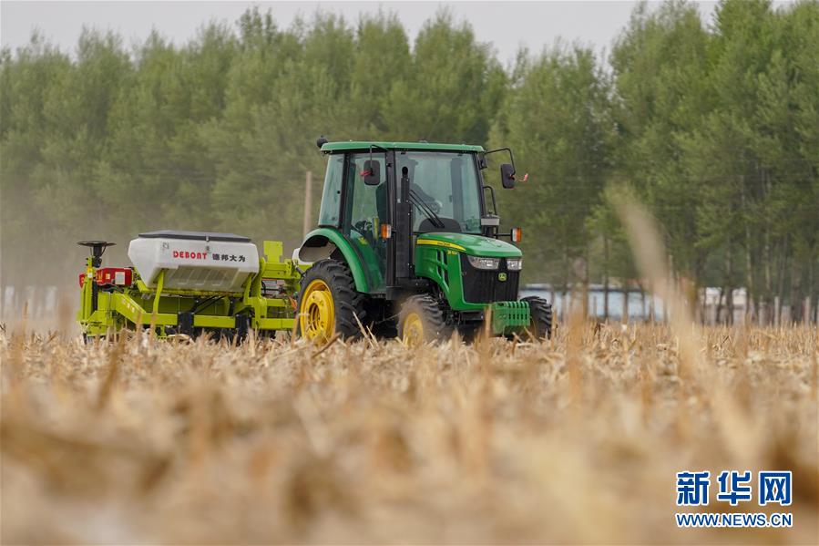 （新華全媒頭條&middot;圖文互動(dòng)）（10）為現(xiàn)代農(nóng)業(yè)探新路&mdash;&mdash;來(lái)自吉林梨樹(shù)的田野報(bào)告