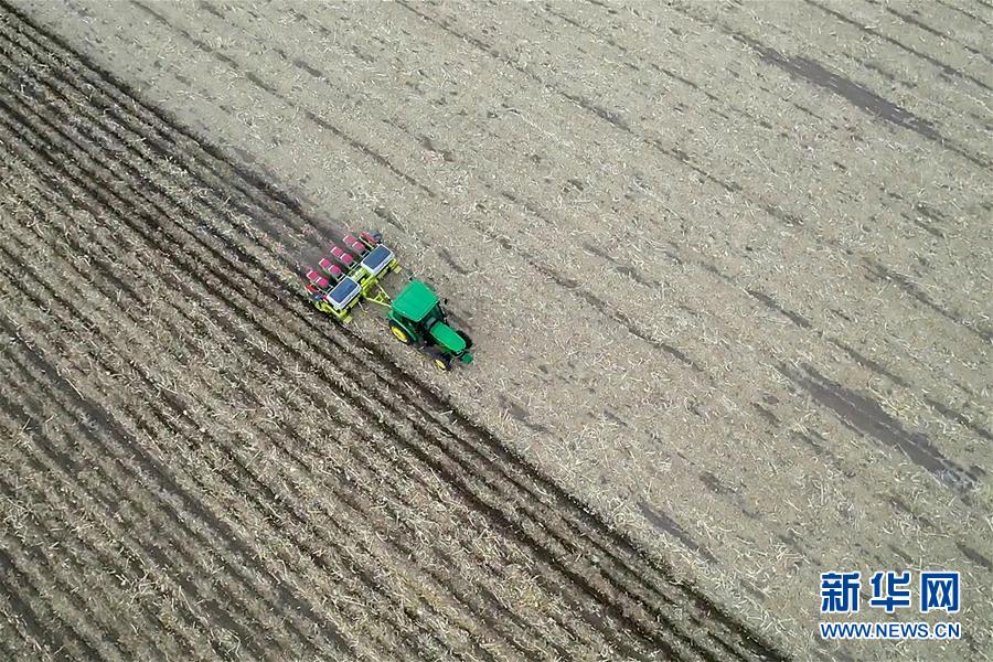 （新華全媒頭條&middot;圖文互動(dòng)）（11）為現(xiàn)代農(nóng)業(yè)探新路&mdash;&mdash;來(lái)自吉林梨樹(shù)的田野報(bào)告