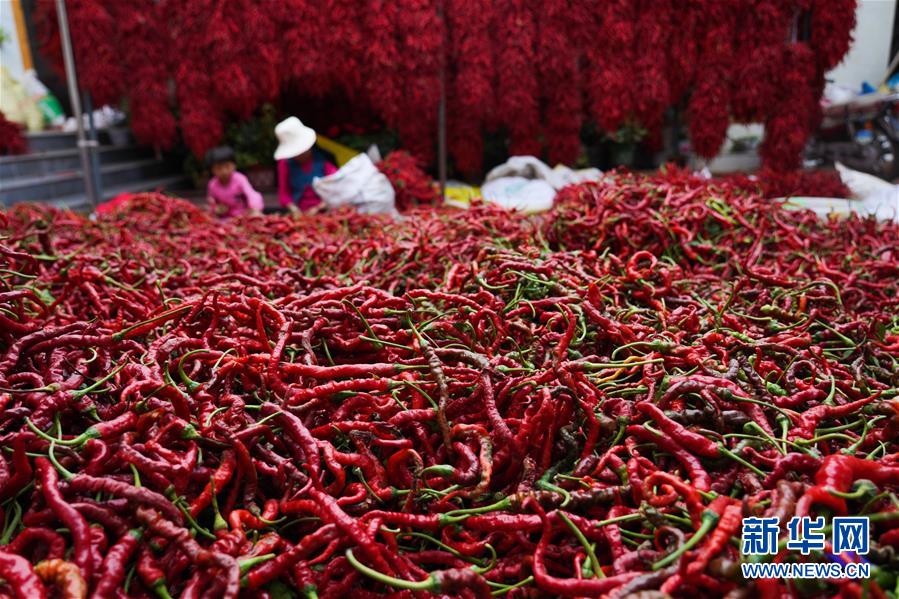 （走向我們的小康生活&middot;決戰(zhàn)決勝脫貧攻堅&middot;圖文互動）（7）甘青交界處的跨越&mdash;&mdash;保安族、撒拉族的脫貧故事 