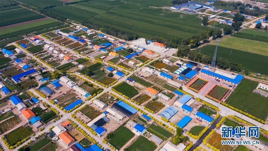 （新華全媒頭條&middot;走向我們的小康生活&middot;圖文互動）（1）黑土地上是我家&mdash;&mdash;在吉林，一瞥中國東北鄉(xiāng)村美麗未來