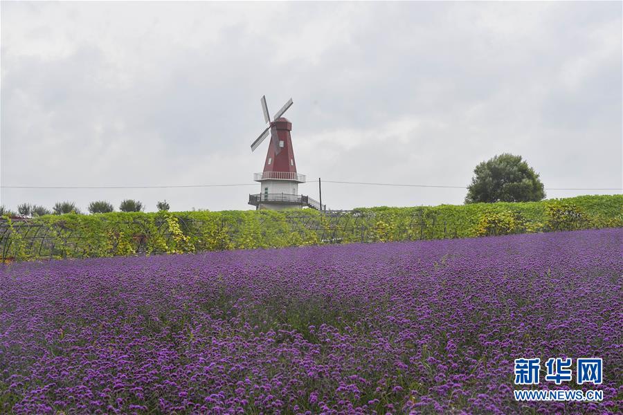 （新華全媒頭條&middot;走向我們的小康生活&middot;圖文互動）（6）黑土地上是我家&mdash;&mdash;在吉林，一瞥中國東北鄉(xiāng)村美麗未來
