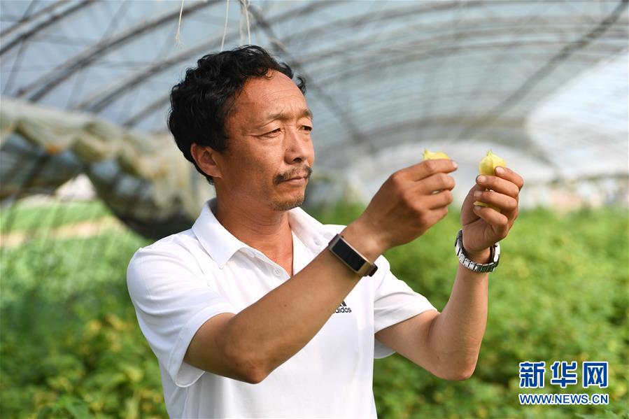 （新華全媒頭條&middot;走向我們的小康生活&middot;圖文互動）（7）黑土地上是我家&mdash;&mdash;在吉林，一瞥中國東北鄉(xiāng)村美麗未來