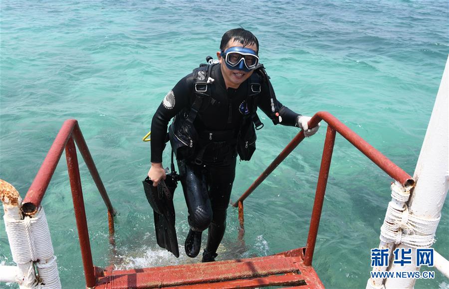 （在習(xí)近平新時(shí)代中國特色社會主義思想指引下&mdash;&mdash;新時(shí)代新作為新篇章&middot;習(xí)近平總書記關(guān)切事&middot;圖文互動）（5）終不悔為國為民，攀高峰只爭朝夕&mdash;&mdash;來自科學(xué)家們的動人故事