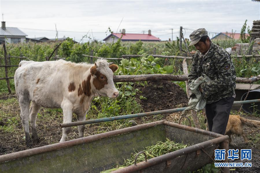 （決戰(zhàn)決勝脫貧攻堅(jiān)&middot;圖文互動）（2）團(tuán)結(jié)村的李輝新傳