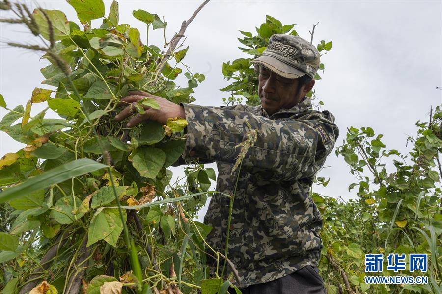 （決戰(zhàn)決勝脫貧攻堅(jiān)&middot;圖文互動）（3）團(tuán)結(jié)村的李輝新傳