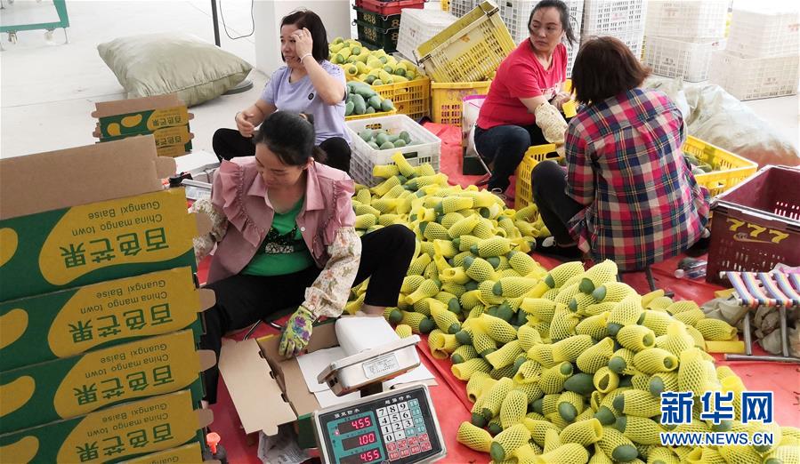 （決戰(zhàn)決勝脫貧攻堅(jiān)&middot;圖文互動(dòng)）（3）同飲一江水 攜手&ldquo;斬窮根&rdquo;&mdash;&mdash;深圳對(duì)口廣西河池、百色扶貧協(xié)作見(jiàn)聞