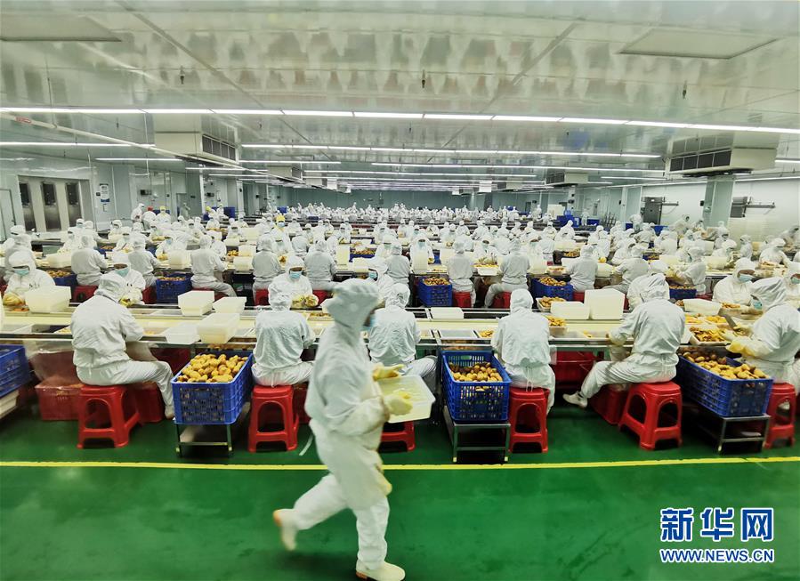 （決戰(zhàn)決勝脫貧攻堅(jiān)&middot;圖文互動(dòng)）（8）同飲一江水 攜手&ldquo;斬窮根&rdquo;&mdash;&mdash;深圳對(duì)口廣西河池、百色扶貧協(xié)作見(jiàn)聞