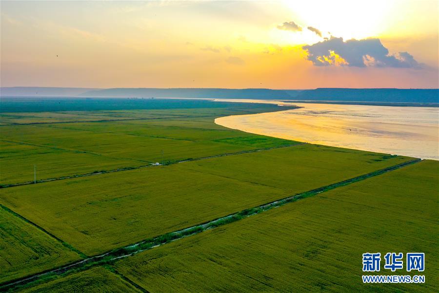 （新華全媒頭條&middot;圖文互動(dòng)）（4）天道酬勤的大地贊歌&mdash;&mdash;寫(xiě)在第三個(gè)中國(guó)農(nóng)民豐收節(jié)之際