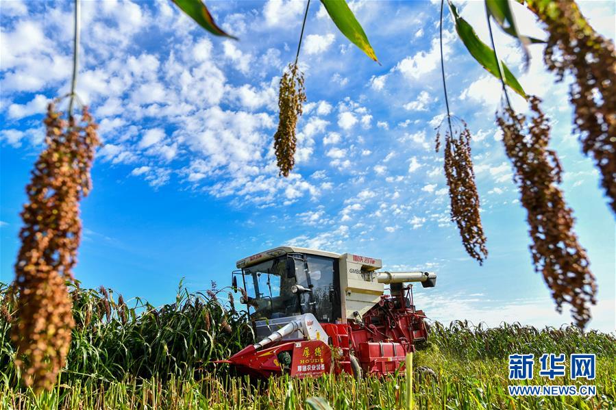 （新華全媒頭條&middot;圖文互動(dòng)）（5）天道酬勤的大地贊歌&mdash;&mdash;寫(xiě)在第三個(gè)中國(guó)農(nóng)民豐收節(jié)之際