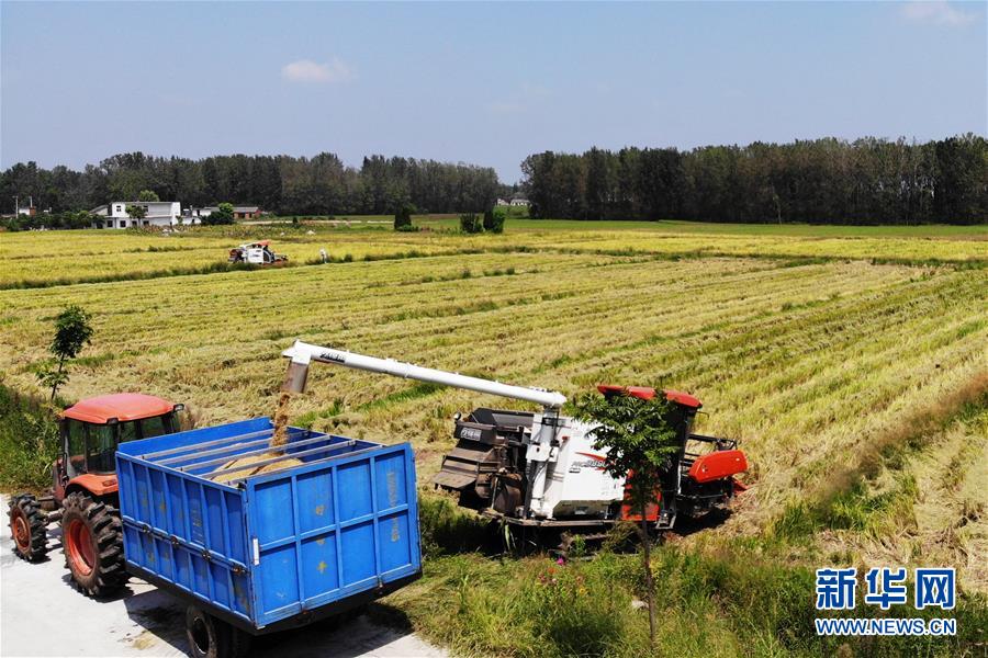 （新華全媒頭條&middot;圖文互動(dòng)）（9）天道酬勤的大地贊歌&mdash;&mdash;寫(xiě)在第三個(gè)中國(guó)農(nóng)民豐收節(jié)之際