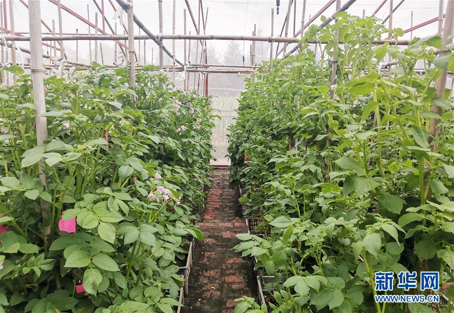 （新華全媒頭條&middot;圖文互動(dòng)）（8）天道酬勤的大地贊歌&mdash;&mdash;寫(xiě)在第三個(gè)中國(guó)農(nóng)民豐收節(jié)之際