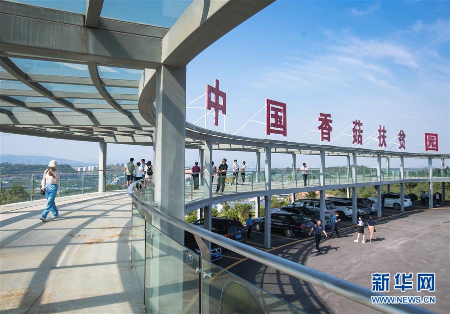 （新華全媒頭條&middot;走向我們的小康生活&middot;圖文互動(dòng)）（2）特殊之年，荊楚大地書(shū)寫(xiě)不平凡的答卷